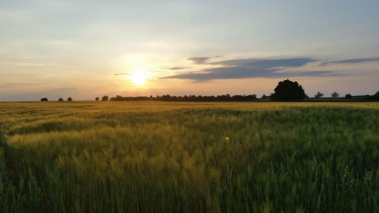 ホテル Luisenhof Geisfeld  エクステリア 写真